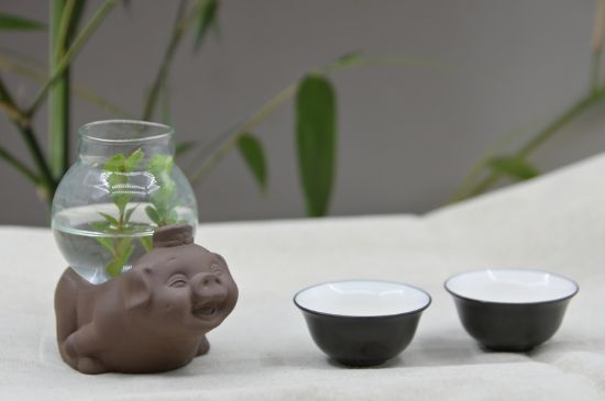 正確泡茶13個(gè)流程，新手從零開始學(xué)泡茶的步驟