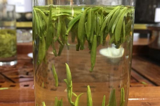雀舌茶的副作用，雀舌茶什么人不能喝？