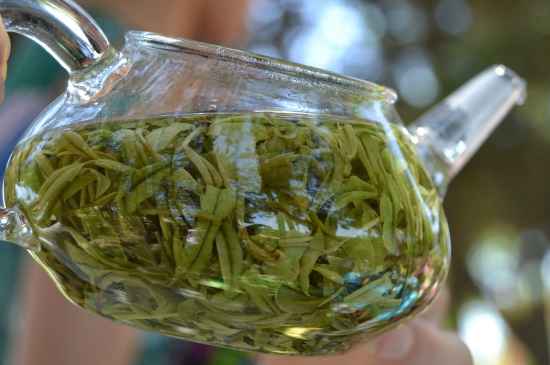 新手學(xué)泡茶的基本常識，從零開始學(xué)泡茶