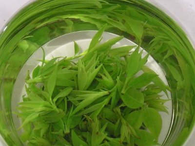 茶葉具有什么功效，茶葉的功效與作用大全