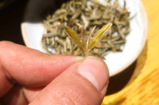 六大茶類哪種適合長(zhǎng)期存放，日常如何保存方法一覽？