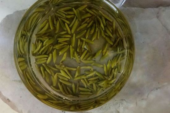 茶葉在哪里買比較好，哪里能買到好的茶葉