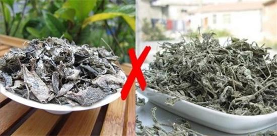 張家界茅巖莓茶與藤茶是同一種茶嗎，藤茶跟莓茶一不一樣？