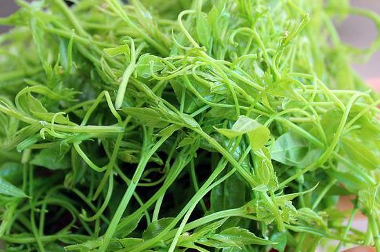 茅巖莓茶別名是什么，莓茶別名叫藤茶嗎？