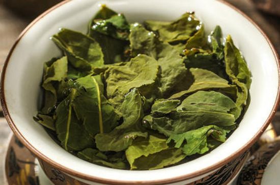 陳茶還是新茶好，茶葉是新茶好喝還是陳茶好喝