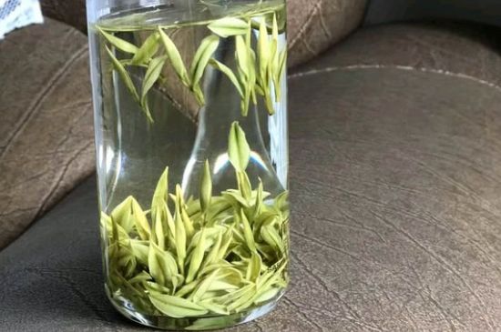 安吉白茶夏天怎么保存，安吉白茶能冷凍儲存嗎？