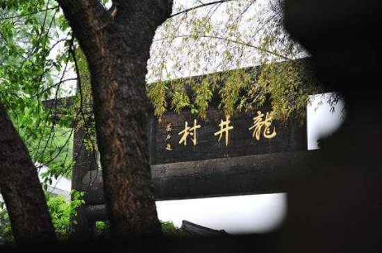 杭州買龍井茶攻略，怎么買到正宗的西湖龍井？