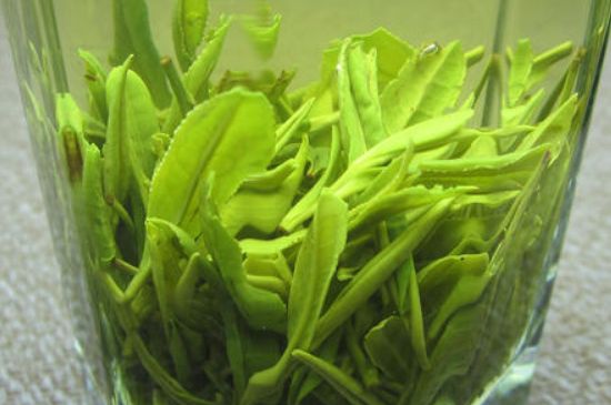 哪種茶葉可以放冰箱，哪些茶不能放冰箱？