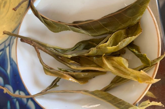 普洱茶十大學(xué)費(fèi)茶排名，吉普H是學(xué)費(fèi)茶？