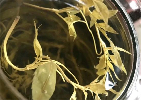 張家界茅巖莓茶與藤茶是同一種茶嗎，藤茶跟莓茶一不一樣？