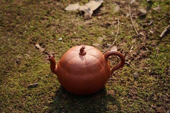 紫砂壺泡什么茶最佳，紫砂壺一般泡什么茶？