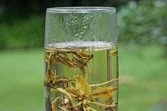 茉莉龍珠什么人不能喝，茉莉龍珠茶什么體質(zhì)不能喝？