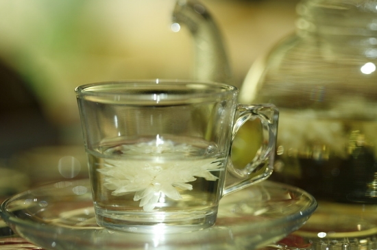 菊花茶天天喝行嗎，每天喝菊花泡茶喝好嗎？