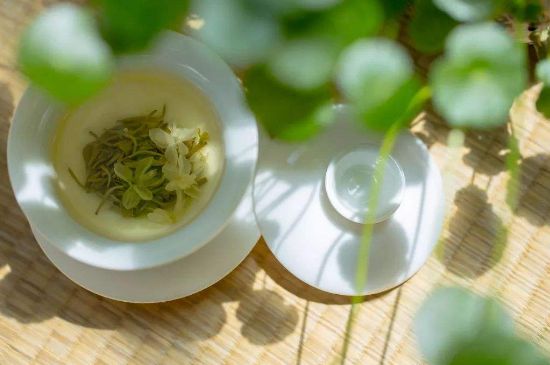 茉莉花茶6種人不要喝，什么體質(zhì)不適合喝茉莉花茶？