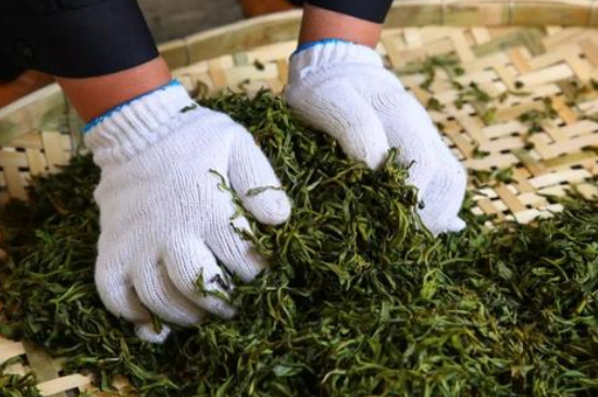 綠茶加工工藝流程圖，綠茶的加工制作包含哪幾個步驟？