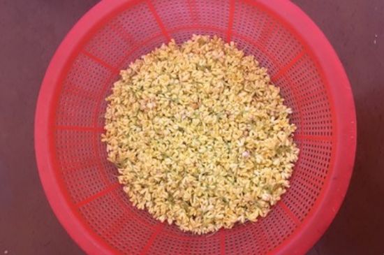 干桂花茶的制作方法，怎樣自制桂花茶？