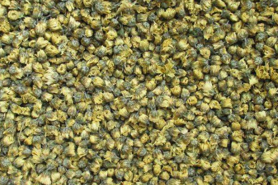 菊花茶大朵小朵有什么區(qū)別，菊花喝大朵還是小朵？