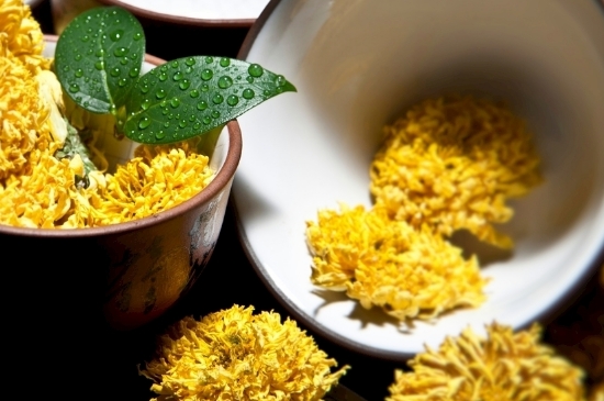孕婦可以喝菊花茶嗎，菊花對(duì)胎兒有致畸作用？