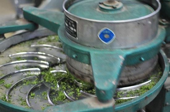 武夷巖茶的初制、精制加工工藝詳細講解