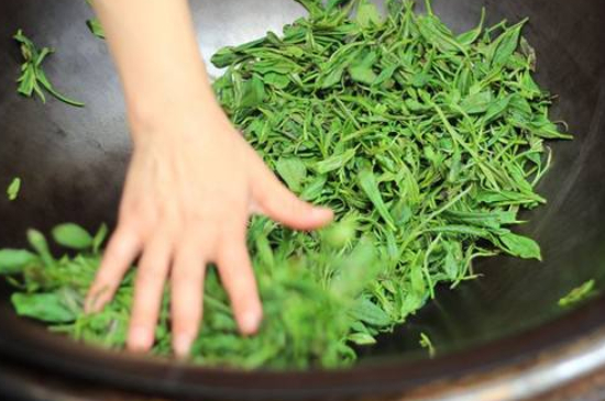 炒青綠茶與綠茶的區(qū)別，烘青和炒青哪個好喝？