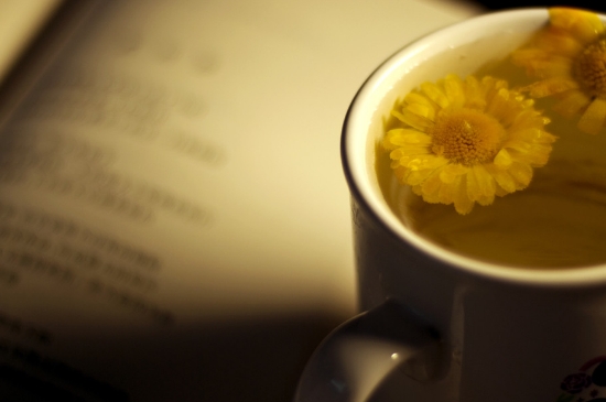經(jīng)常菊花泡水好嗎，喝菊花茶有什么好處？