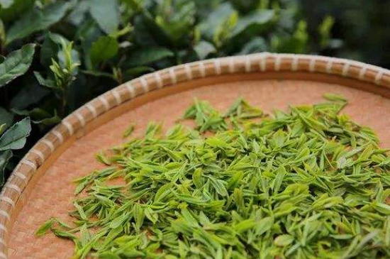 炒青綠茶與綠茶的區(qū)別，烘青和炒青哪個好喝？