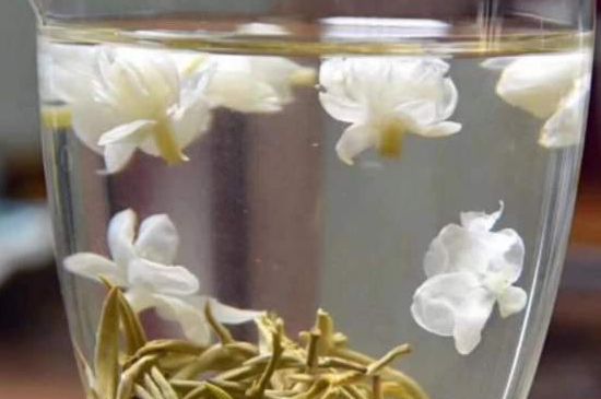 茉莉泡水禁忌，茉莉干花泡水的功效與禁忌