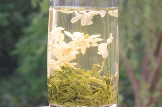 茉莉龍珠可以和什么一起泡茶，茉莉龍珠茶能加蜂蜜嗎？