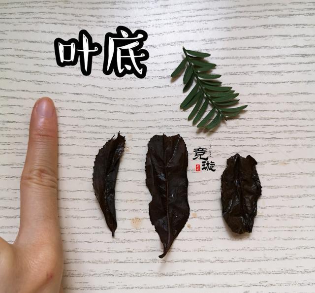 正山小種很細(xì)還很黑亮，正山小種越細(xì)越好嗎