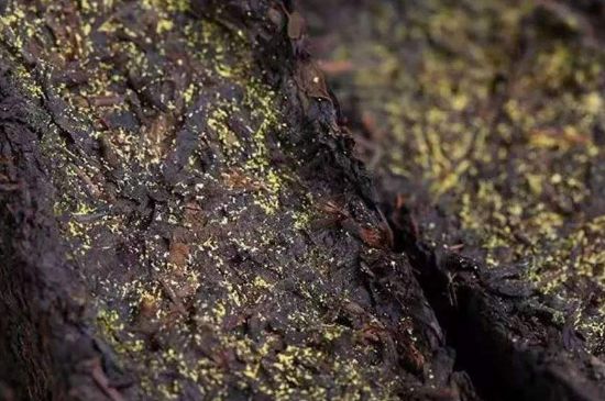 茯磚茶與普洱茶哪個(gè)好，茯茶和普洱茶口味區(qū)別