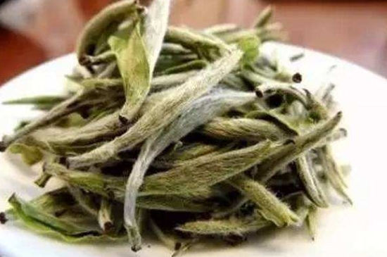 白茶三年為藥七年為寶的原理，為什么說一年茶三年藥七年寶？
