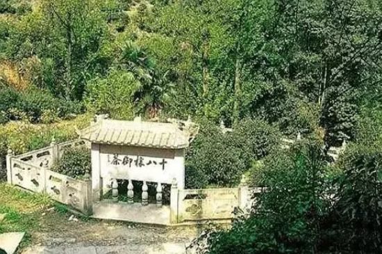 母樹(shù)大紅袍給誰(shuí)喝了，為什么母樹(shù)大紅袍叫三棵六株？