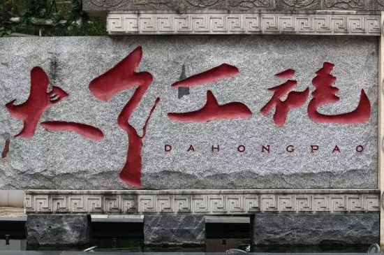 母樹(shù)大紅袍給誰(shuí)喝了，為什么母樹(shù)大紅袍叫三棵六株？