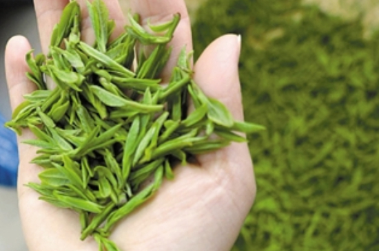 潮汕炒茶屬于什么茶，潮汕炒茶是綠茶嗎？