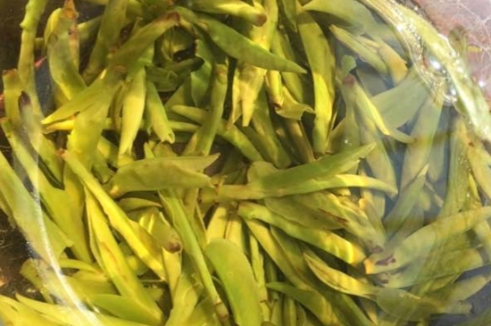 龍井是明前的好還是雨前的好，明前茶和雨前茶哪個好喝？