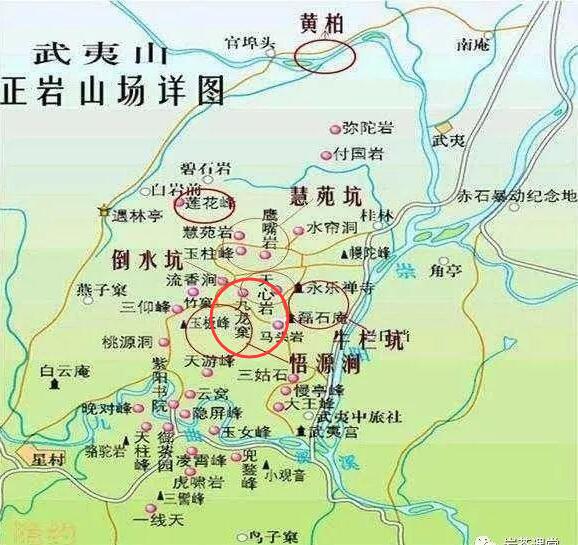 母樹(shù)大紅袍給誰(shuí)喝了，為什么母樹(shù)大紅袍叫三棵六株？