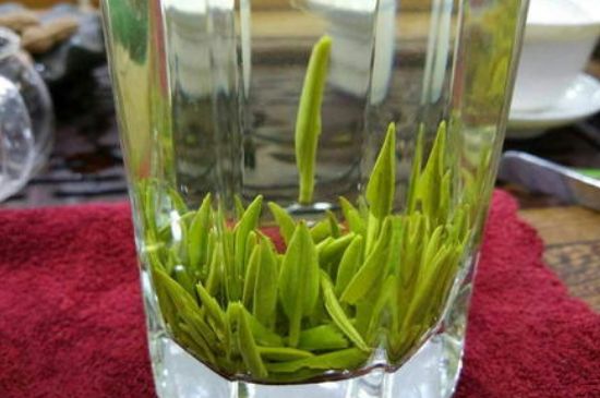 雀舌有一股青草味，雀舌為什么有青草味？