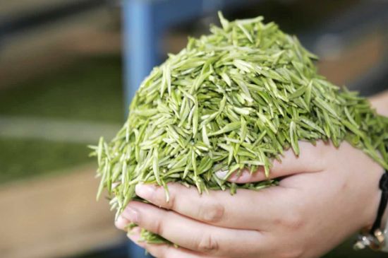 高山云霧茶屬于什么茶，高山云霧茶哪里的最好