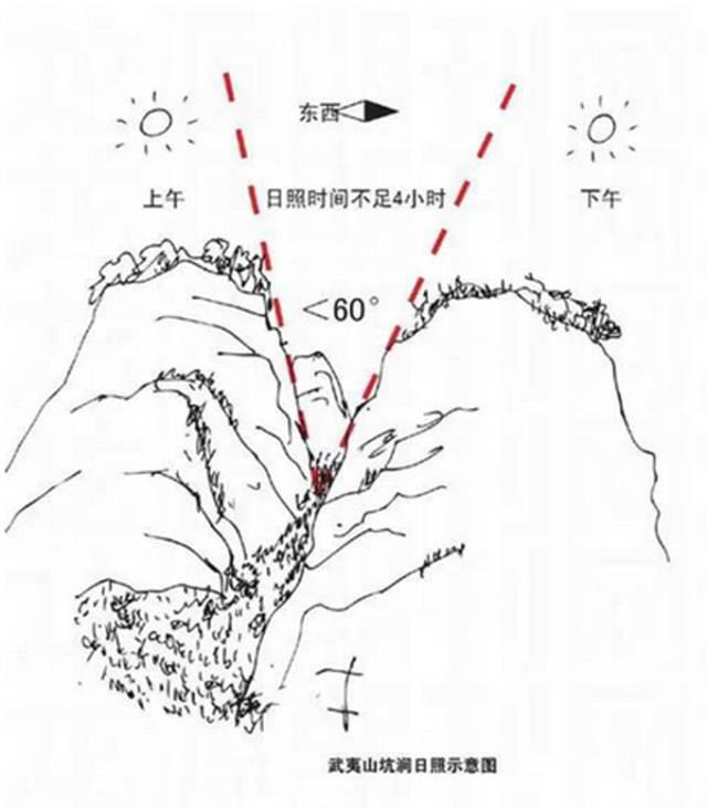 武夷山為什么盛產(chǎn)茶葉，武夷山茶為什么好喝？