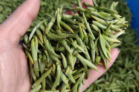 龍井茶好壞的鑒別圖片，如何區(qū)別龍井茶的好壞？