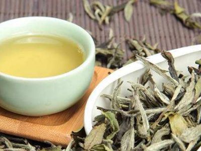 大紅袍好還是白茶好，福鼎白茶和大紅袍哪個貴？