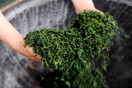潮汕炒茶屬于什么茶，潮汕炒茶是綠茶嗎？