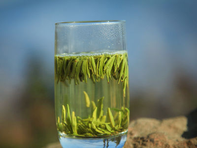 竹葉青茶怎么樣，檔次較高味道略苦價格比較貴