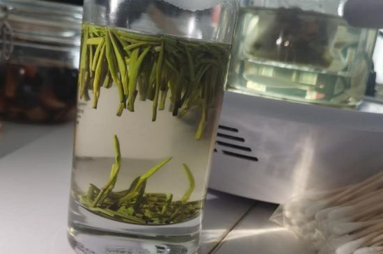 金壇雀舌算不算好茶，金壇雀舌屬于什么檔次茶葉？