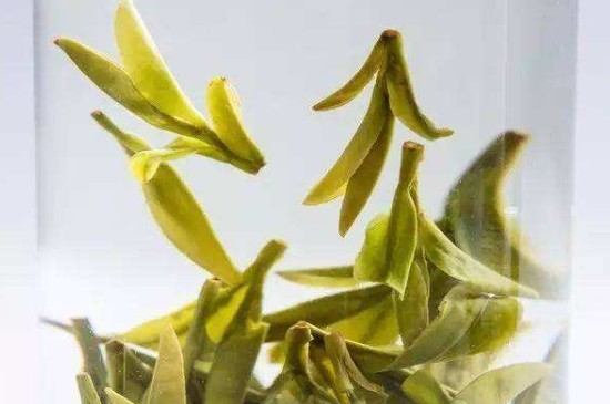 烏牛早和龍井的區(qū)別圖片，龍井43號(hào)和烏牛早茶的對(duì)比