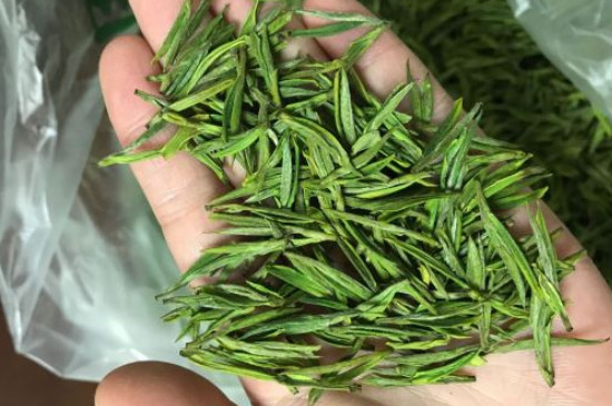 什么綠茶茶葉唇齒留香，哪個品種綠茶香氣好？