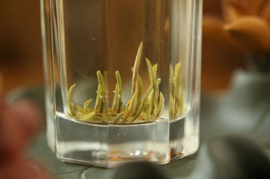 踏雪蘭妃是什么茶，踏雪蘭妃是哪里的茶葉?