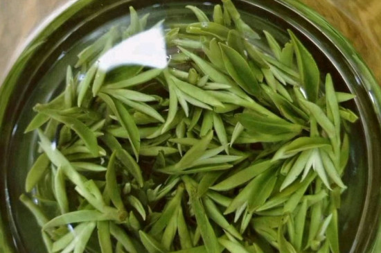 什么綠茶茶葉唇齒留香，哪個品種綠茶香氣好？