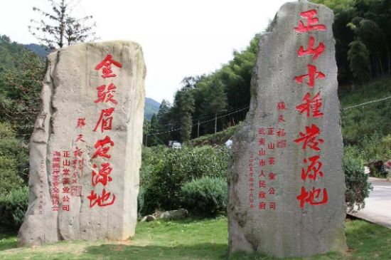 300塊錢的金駿眉能喝嗎，兩三百多金駿眉和一千多區(qū)別