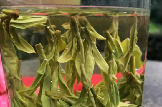 什么綠茶最香最好喝，綠茶口感與香氣排名
